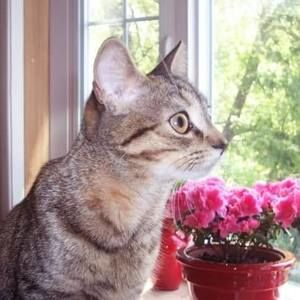 Meet your Posher, Sandra